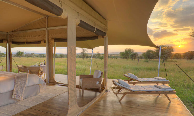 Top Safari Camps in the Serengeti - Unforgettable Wilderness Stays