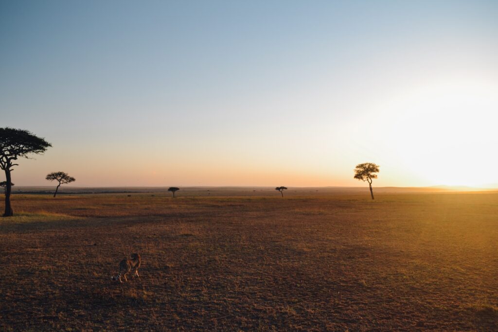 Facts about Serengeti National Park in Tanzania