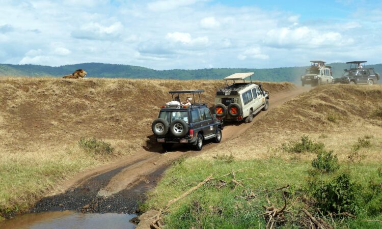 Ngorongoro Conservation Area Entry Fees - A Detailed Guide