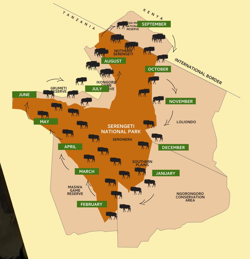 Experience the Annual Great Wildebeest Migration 1 Wildebeest Migration Map