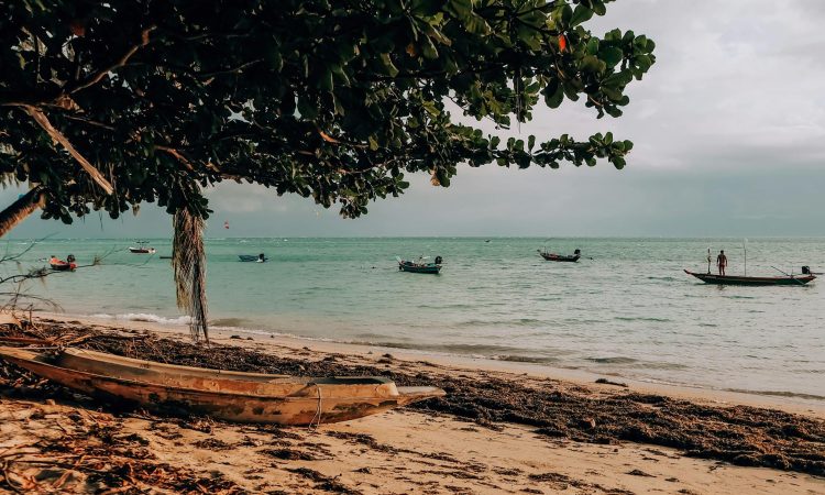 10-Day Masai Mara Safari & Zanzibar Beach Holiday